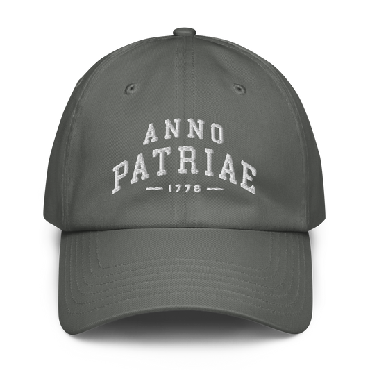 ANNO PATRIAE Varsity Under Armour Dad Hat in Grey